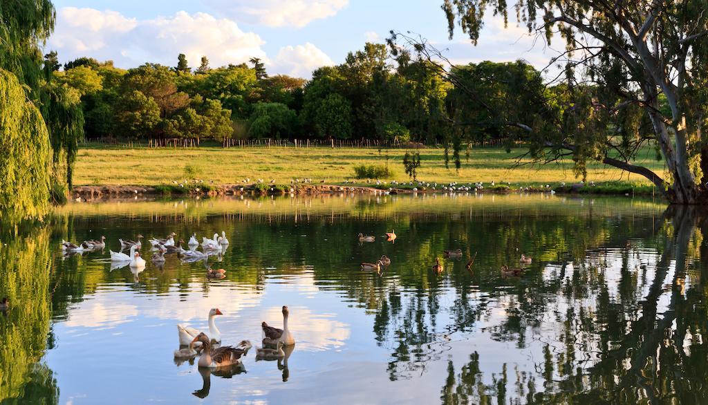 Zulu Nyala Country Manor Hotel Johannesburg Bagian luar foto